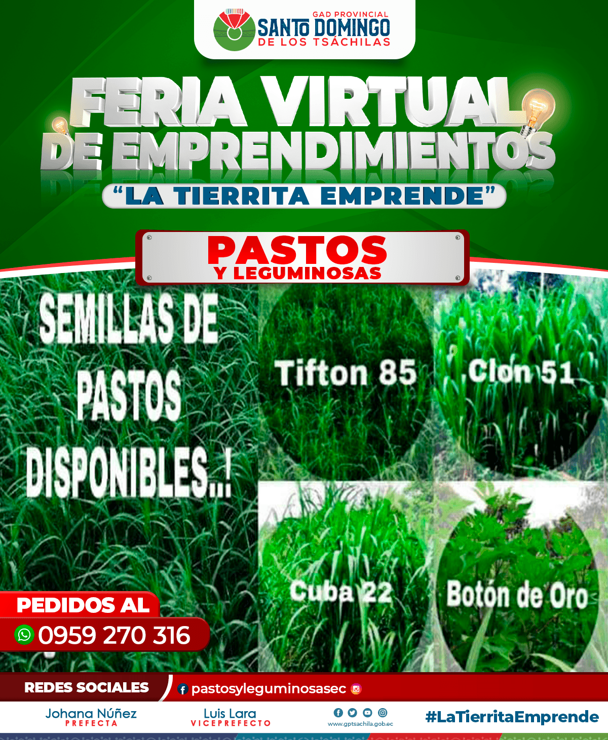 Pastos y Leguminosas